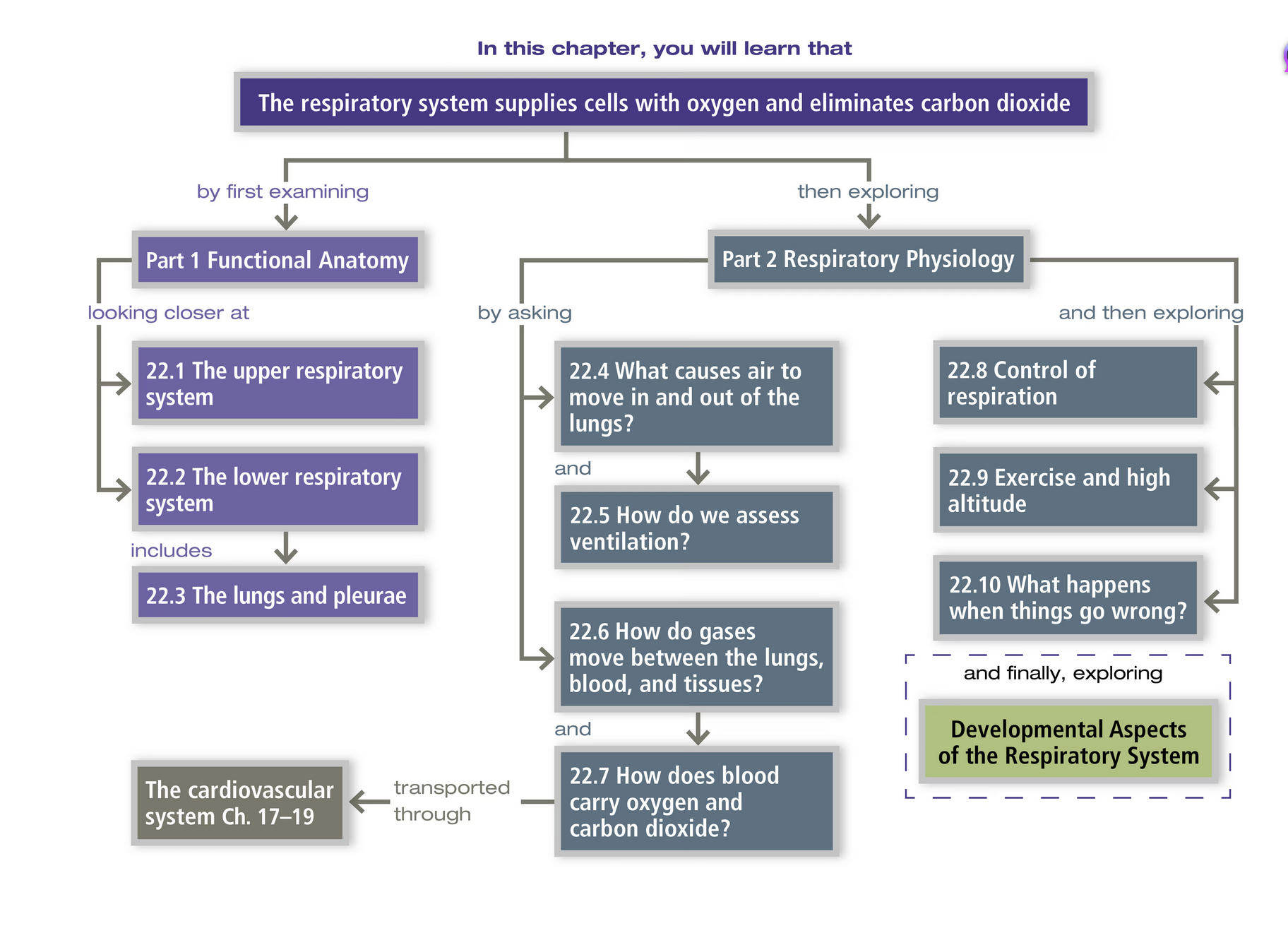 Screenshot 2026-02-02 at 5.32.58 PM