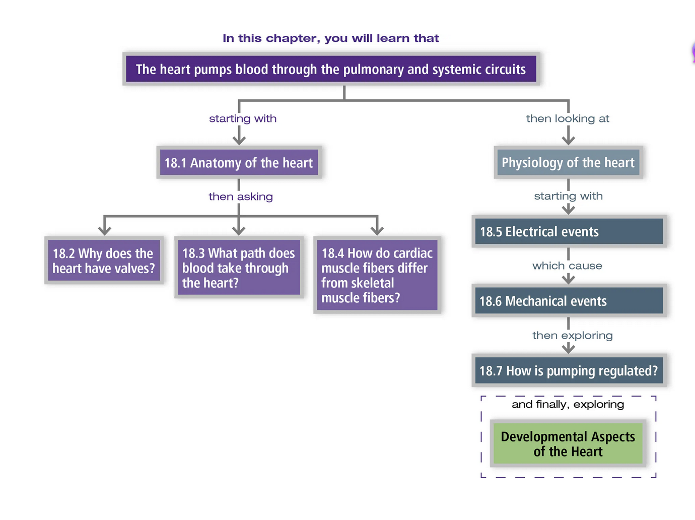 Screenshot 2026-02-11 at 1.01.44 PM