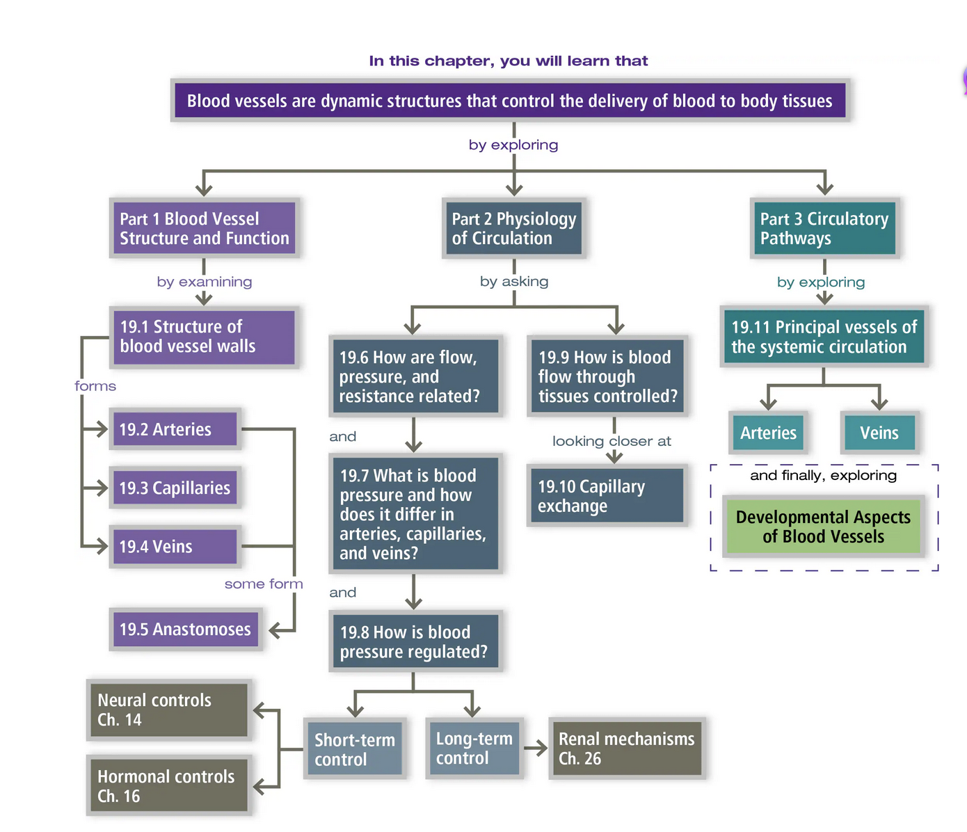 Screenshot 2026-02-11 at 1.52.45 PM