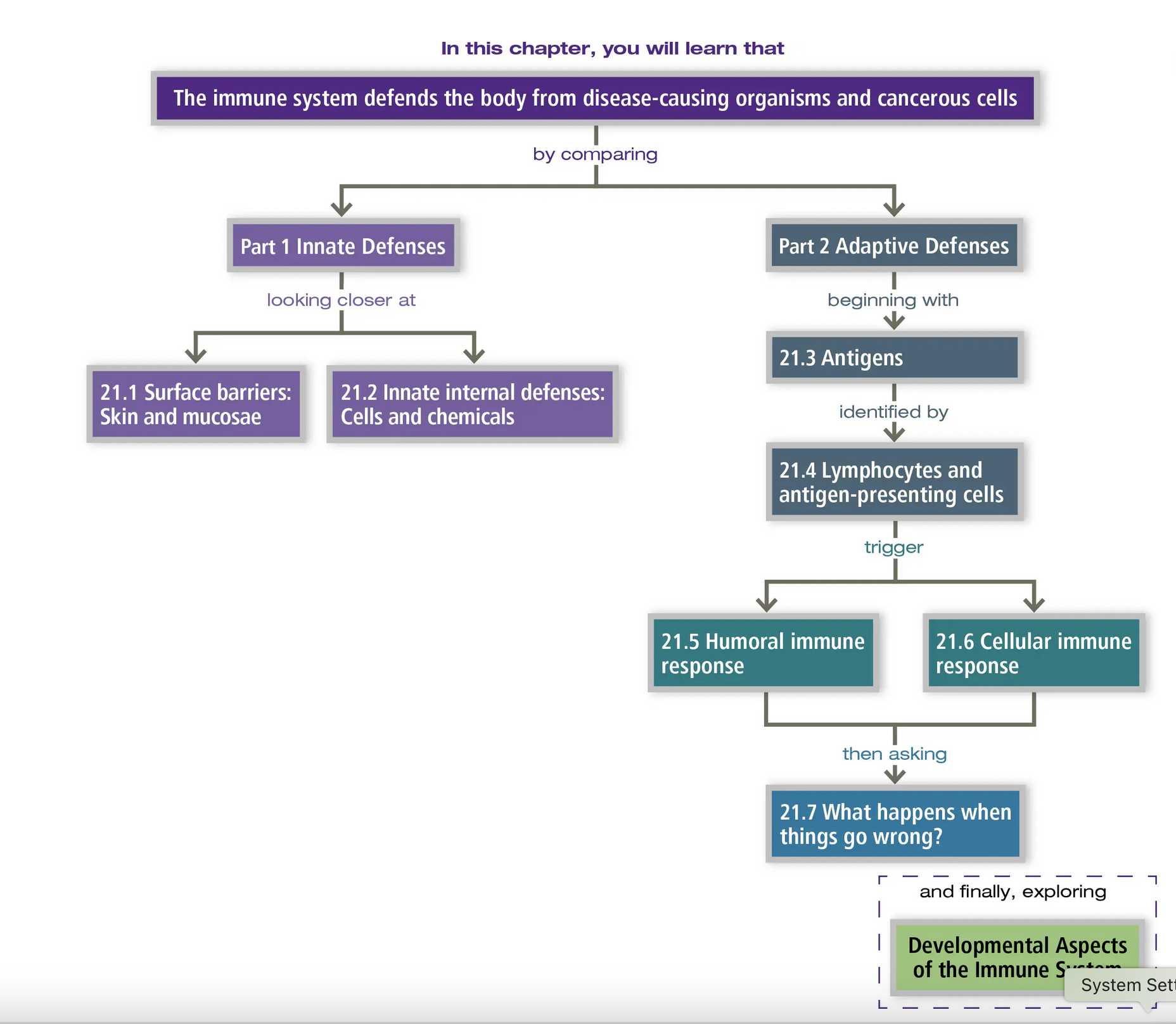 Screenshot 2026-02-15 at 8.32.55 AM