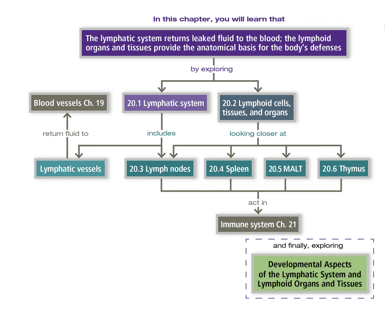 Screenshot 2026-02-15 at 8.33.28 AM